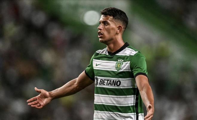 讲好冠军故 讲好冠军故